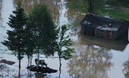 Tragedia dla ludzi i dla zwierząt