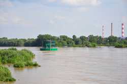 Gruba Kaśka 21 maja 2010