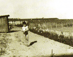Mikołaj Gródecki u ogrodnika na rogu ulic Zwycięzców i Wandy, w tle barak szkolny, ok. 1957