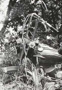 Harley Janusza Woźniczaka - Choperek