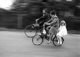 Fot. Wlodzimierz Pniewski