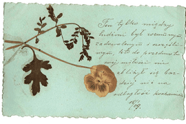 Pocztówka z archiwum rodzinnego Małgorzaty Karoliny Piekarskiej