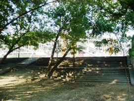 Schody na plażę nad Wisłą przy Stadionie Narodowym w Warszawie (fot. M. Pawlik)