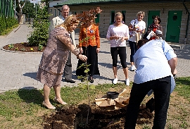 Nauka przez zabawę - Sadzenie drzewa