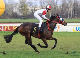 Zawodnik na Torze Wyścigów Konnych na Służewcu