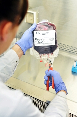 Polski Bank Komórek Macierzystych