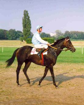 Dżokej Janusz Kozłowski na klaczy Kliwia - 1992 rok (fot. Tomasz Przybyszewski)