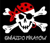 Logo "Gniazda Piratów" (Internet + własne zaangażowanie)
