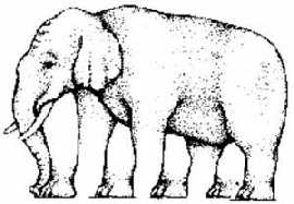  (Internet + własne zaangażowanie)