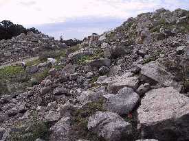 Alpinarium w Powsinie (informacje dr Wojciech Dmuchowski)