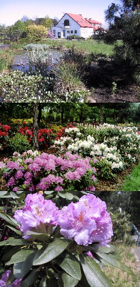  (Ogród Botaniczny PAN)