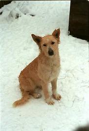 GW fot. Piotr Molecki (gazeta.pl)