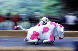 Ale jazda!!! (Mydelniczki)