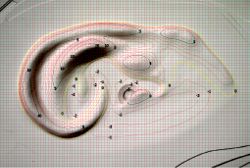 Kozakiewicz - Projekt Mars (Culture.pl)