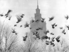 Pałac Kultury i Nauki (fot. Edward Hartwig)